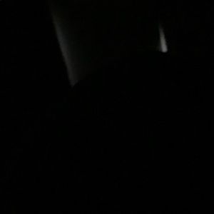 Meet your Posher, Gavin